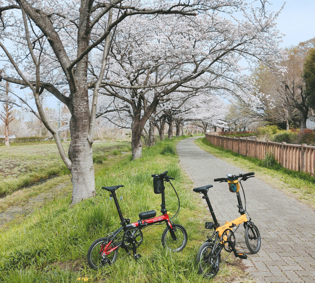 総寺院桜