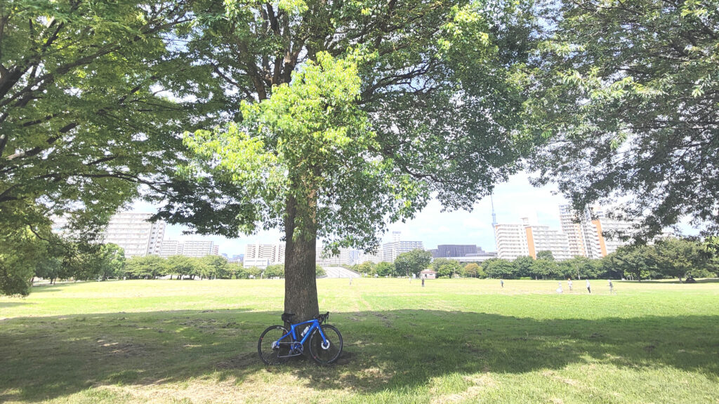 小松川公園
