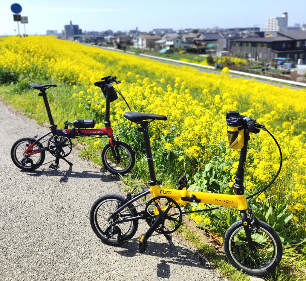 江戸川菜の花と自転車のコラボレーション