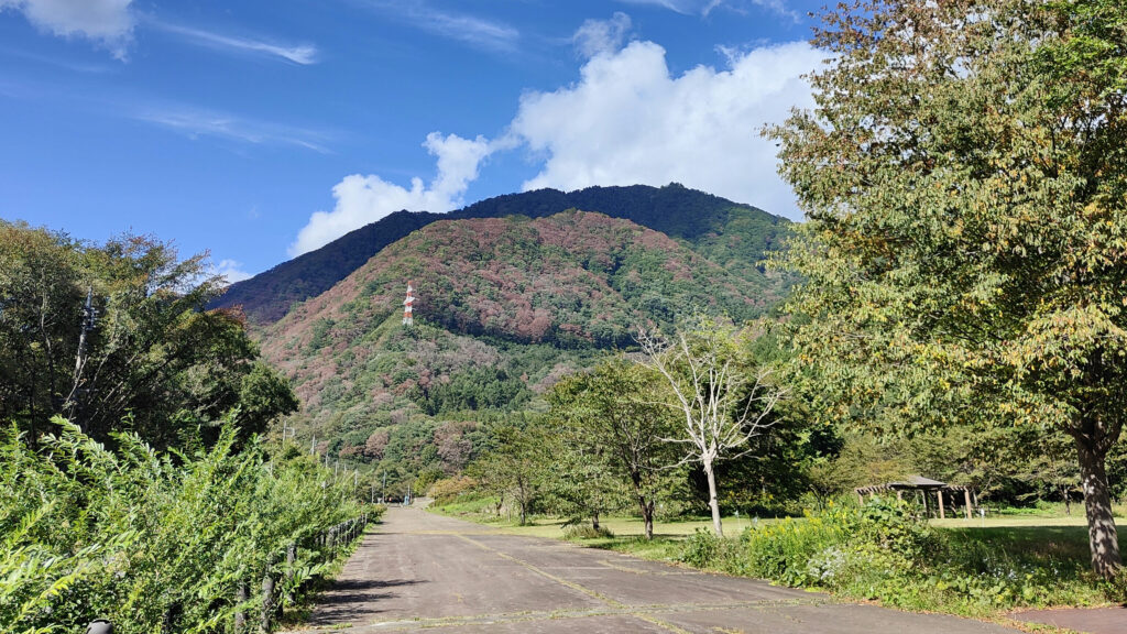 木々に囲まれた風景